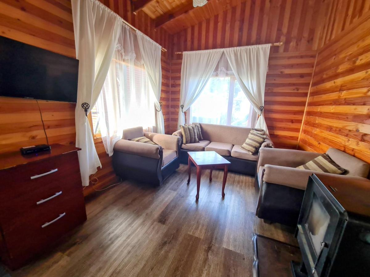 Cabañas Kompatzki Ancud Bagian luar foto